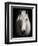 Equus 1-THE Studio-Framed Giclee Print