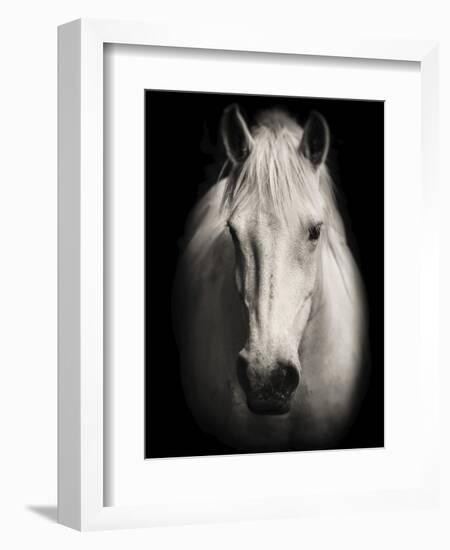 Equus 1-THE Studio-Framed Giclee Print