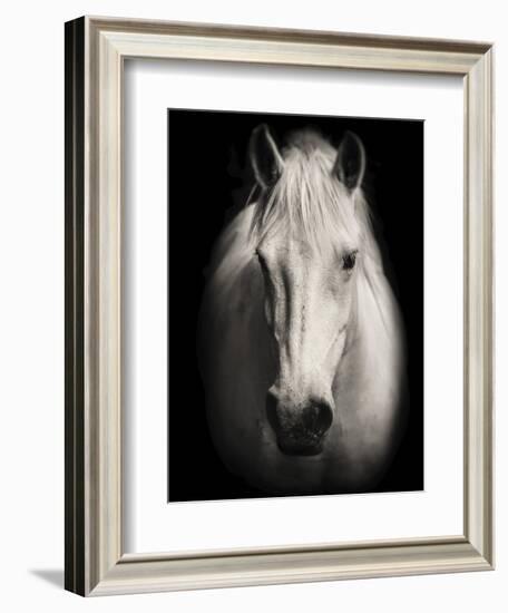 Equus 1-THE Studio-Framed Giclee Print