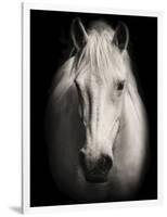 Equus 1-THE Studio-Framed Giclee Print