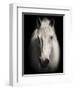 Equus 1-THE Studio-Framed Premium Giclee Print