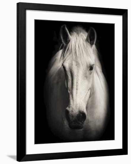 Equus 1-THE Studio-Framed Premium Giclee Print