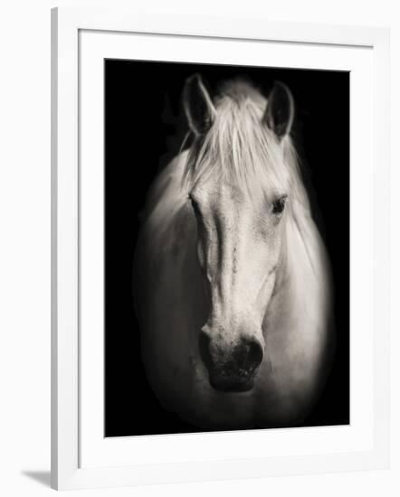 Equus 1-THE Studio-Framed Giclee Print