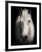 Equus 1-THE Studio-Framed Giclee Print