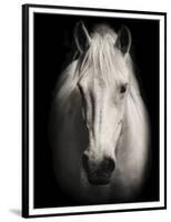 Equus 1-THE Studio-Framed Premium Giclee Print