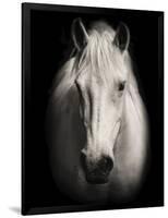 Equus 1-THE Studio-Framed Premium Giclee Print