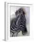 Equus burchelli 1, 2009-Odile Kidd-Framed Giclee Print