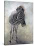 Equus burchelli 1, 2009-Odile Kidd-Stretched Canvas