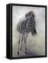 Equus burchelli 1, 2009-Odile Kidd-Framed Stretched Canvas