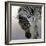 Equus burchelli 2, 2010-Odile Kidd-Framed Giclee Print