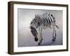 Equus burchelli 2, 2010-Odile Kidd-Framed Giclee Print