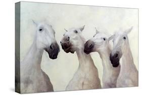 Equus four-Odile Kidd-Stretched Canvas