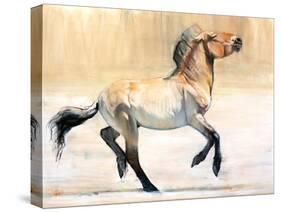 Equus (Przewalski), 2014-Mark Adlington-Stretched Canvas