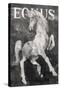 Equus Stallion BW-Albena Hristova-Stretched Canvas