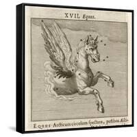 Equus the Horse-Gaius Julius Hyginus-Framed Stretched Canvas