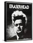 Eraserhead, 1977-null-Framed Stretched Canvas