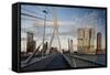 Erasmus Bridge and De Rotterdam, Wilhelminakade, Rotterdam, Netherlands, Europe-Ben Pipe-Framed Stretched Canvas