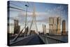 Erasmus Bridge and De Rotterdam, Wilhelminakade, Rotterdam, Netherlands, Europe-Ben Pipe-Stretched Canvas