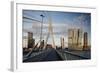 Erasmus Bridge and De Rotterdam, Wilhelminakade, Rotterdam, Netherlands, Europe-Ben Pipe-Framed Photographic Print