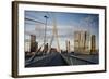 Erasmus Bridge and De Rotterdam, Wilhelminakade, Rotterdam, Netherlands, Europe-Ben Pipe-Framed Photographic Print