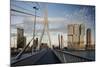 Erasmus Bridge and De Rotterdam, Wilhelminakade, Rotterdam, Netherlands, Europe-Ben Pipe-Mounted Photographic Print