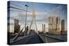 Erasmus Bridge and De Rotterdam, Wilhelminakade, Rotterdam, Netherlands, Europe-Ben Pipe-Stretched Canvas