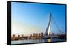 Erasmus Bridge over the River Meuse in , the Netherlands-vichie81-Framed Stretched Canvas