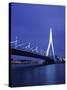 Erasmus Bridge, Rotterdam, Holland-Jon Arnold-Stretched Canvas