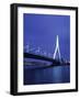 Erasmus Bridge, Rotterdam, Holland-Jon Arnold-Framed Photographic Print