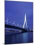 Erasmus Bridge, Rotterdam, Holland-Jon Arnold-Mounted Photographic Print