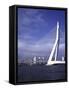 Erasmus Bridge, Rotterdam, Netherlands-null-Framed Stretched Canvas