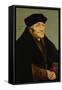 Erasmus of Rotterdam, 1549-Lucas Cranach the Elder-Framed Stretched Canvas
