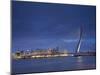 Erasmus Suspension Bridge, Rotterdam, Holland-Michele Falzone-Mounted Photographic Print