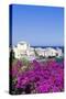 Erbalunga, Corsica, France, Mediterranean, Europe-Markus Lange-Stretched Canvas