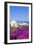 Erbalunga, Corsica, France, Mediterranean, Europe-Markus Lange-Framed Premium Photographic Print