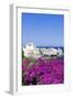 Erbalunga, Corsica, France, Mediterranean, Europe-Markus Lange-Framed Premium Photographic Print