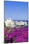 Erbalunga, Corsica, France, Mediterranean, Europe-Markus Lange-Mounted Premium Photographic Print