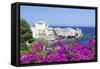 Erbalunga, Corsica, France, Mediterranean, Europe-Markus Lange-Framed Stretched Canvas