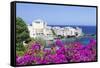 Erbalunga, Corsica, France, Mediterranean, Europe-Markus Lange-Framed Stretched Canvas