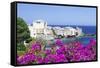 Erbalunga, Corsica, France, Mediterranean, Europe-Markus Lange-Framed Stretched Canvas