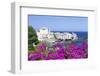 Erbalunga, Corsica, France, Mediterranean, Europe-Markus Lange-Framed Photographic Print