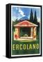 Ercolano-Vintage Apple Collection-Framed Stretched Canvas