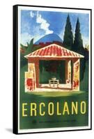 Ercolano-Vintage Apple Collection-Framed Stretched Canvas