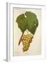 Erdei Grape-J. Troncy-Framed Giclee Print