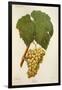 Erdei Grape-J. Troncy-Framed Giclee Print