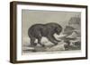 Erebus and Terror-John William Bottomley-Framed Giclee Print