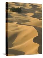 Erg Chebbi Dunes, Merzouga, Tafilalt, Morocco-Walter Bibikow-Stretched Canvas