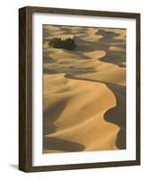 Erg Chebbi Dunes, Merzouga, Tafilalt, Morocco-Walter Bibikow-Framed Photographic Print