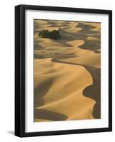 Erg Chebbi Dunes, Merzouga, Tafilalt, Morocco-Walter Bibikow-Framed Photographic Print