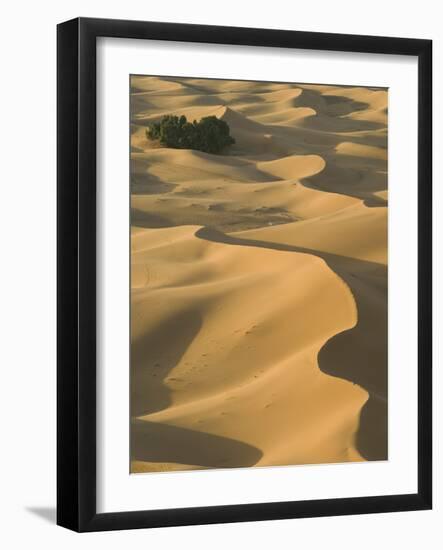 Erg Chebbi Dunes, Merzouga, Tafilalt, Morocco-Walter Bibikow-Framed Photographic Print